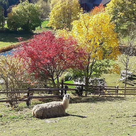 Familienhotel Berger Hotel Sankt Jakob im Walde