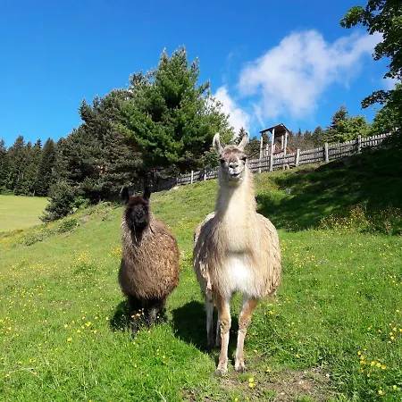 Hotel Familienhotel Berger