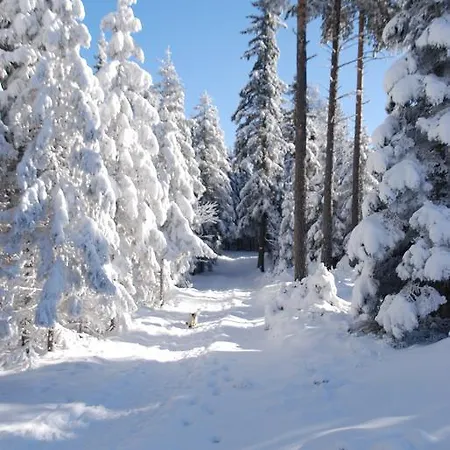 Hotel Familienhotel Berger