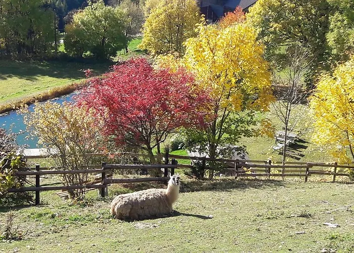 Familienhotel Berger Hotel Sankt Jakob im Walde