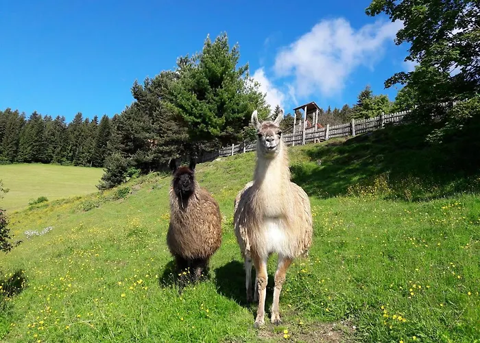 فندق Familienhotel Berger