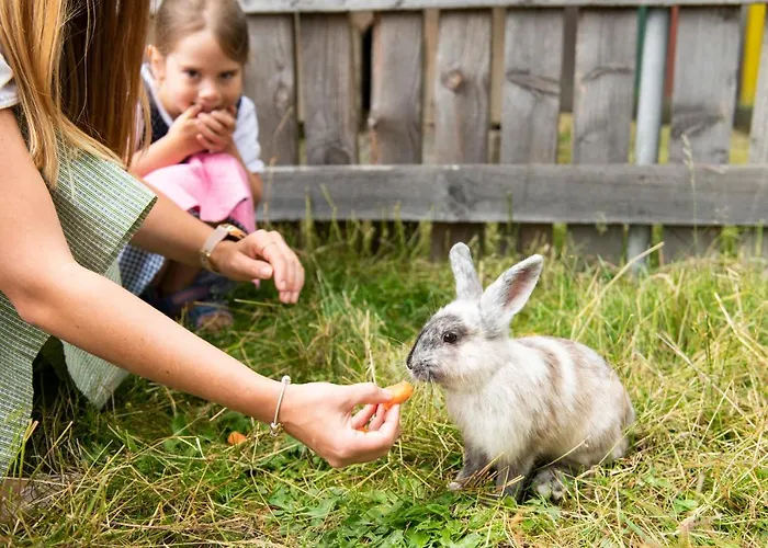 Familienhotel Berger سانكت ياكوب إم فالدي