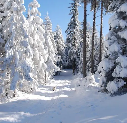 فندق Familienhotel Berger