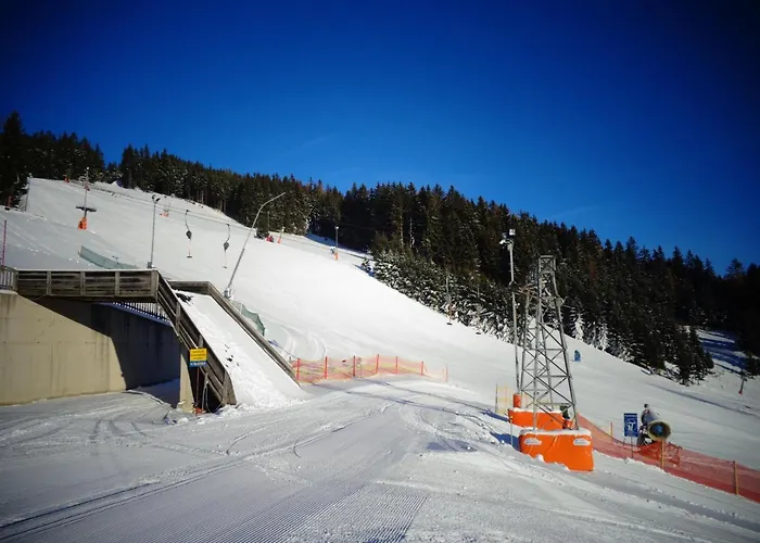 Familienhotel Berger 3* Sankt Jakob im Walde